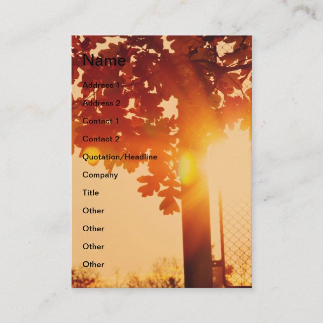Sunset tree business card (Front)