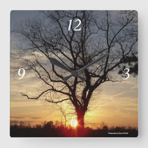 Sunset tree clock