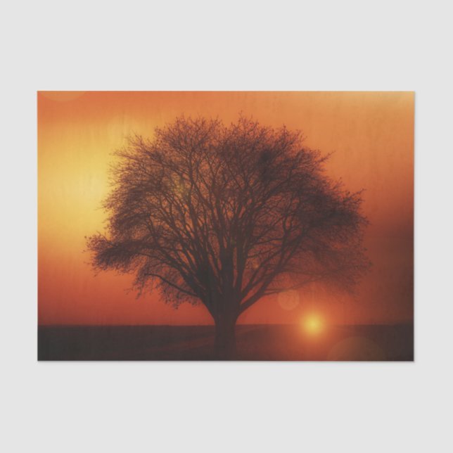 Sunset Tree Decoupage Tissue Paper (Front)