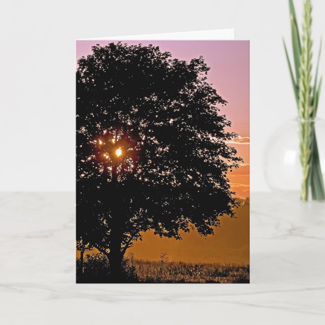 Sunset Tree Sympathy  Card (Front)