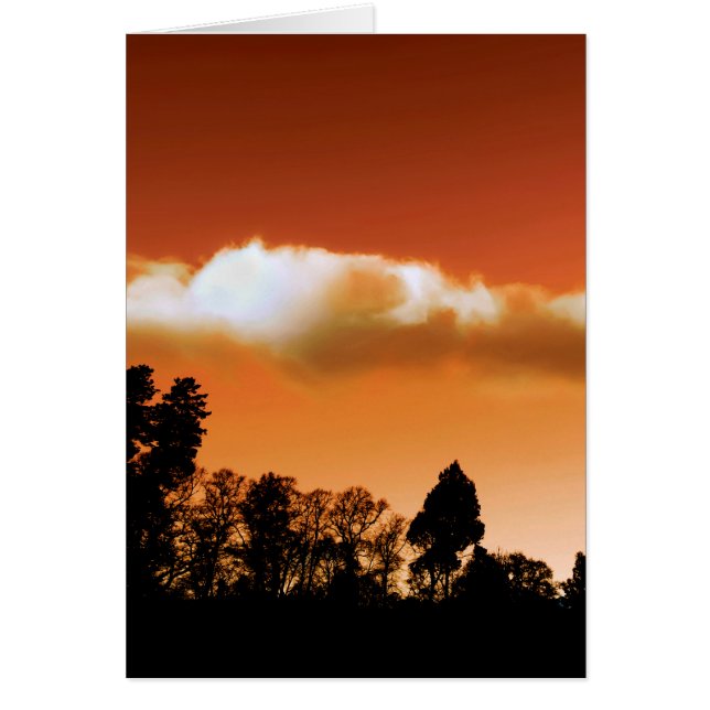 Sunset trees (Front)