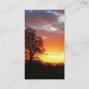 Sunset Trees in Nature Business Cards
