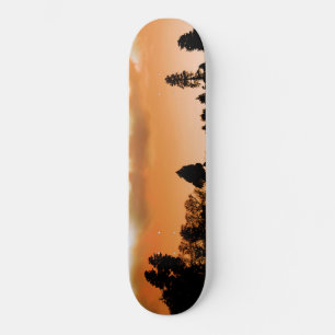 Sunset trees skateboard