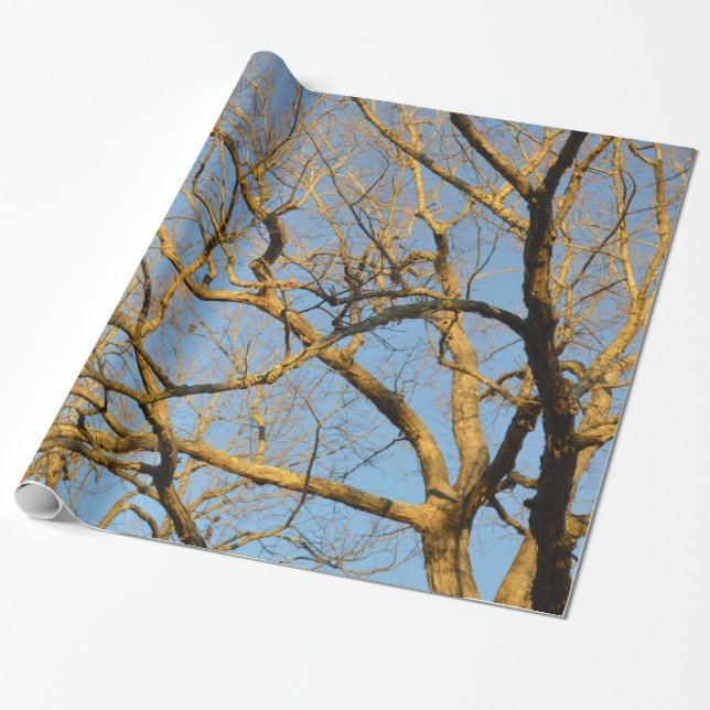 Sunset Trees Wrapping Paper (Unrolled)