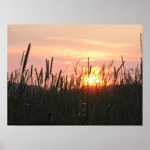 Sunset - tru field poster