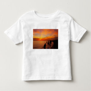 Sunset, Twelve Apostles, Port Campbell National Toddler T-Shirt
