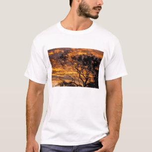 Sunset, Uluru-Kata Tjuta National Park, T-Shirt