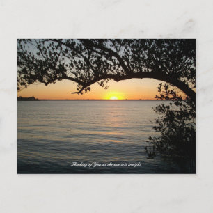 Sunset under tree postcard