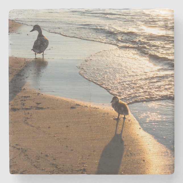 Sunset Walk With Mummy Stone Coaster (Front)