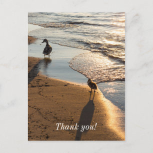 Sunset Walk With Mummy Thank You Postcard