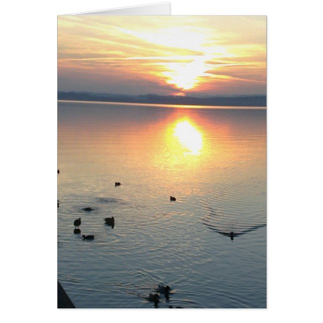 sunset with ducks in the lake,greycard,blanko (Front)