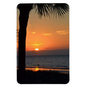Sunset with Palm Tree Silhouette Beach Scene Magnet