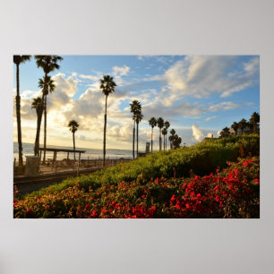 Sunset with Palm trees and Borgenvillia Poster