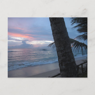 Sunset with tree @ Sri Lanka Postcard