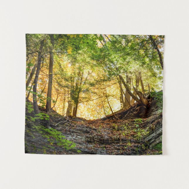Sunset Woods Forest Trees Nature Small Tapestry (Front (Horizontal))