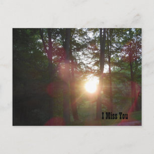 Sunset Woods I Miss You Postcard