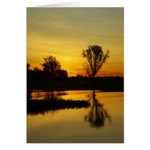 Sunset, Yellow Water Billabong