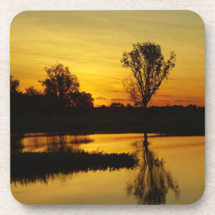 Sunset, Yellow Water Billabong Coaster