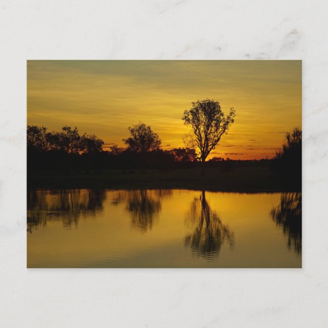 Sunset, Yellow Water Billabong Postcard (Front)