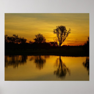 Sunset, Yellow Water Billabong Poster