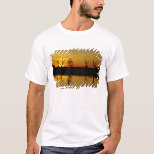 Sunset, Yellow Water Billabong T-Shirt