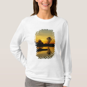 Sunset, Yellow Water Billabong T-Shirt