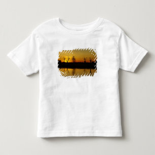 Sunset, Yellow Water Billabong Toddler T-Shirt