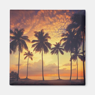 Sunsetpalm Magnet