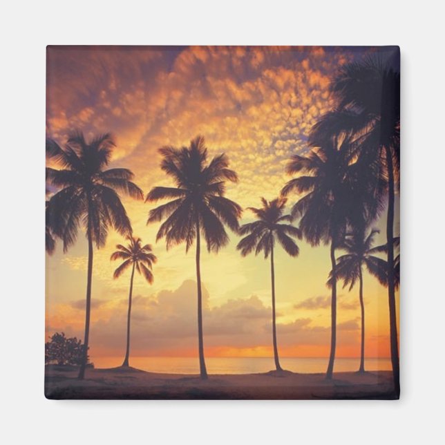 Sunsetpalm Magnet (Front)