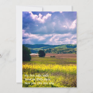 sunsets holiday card