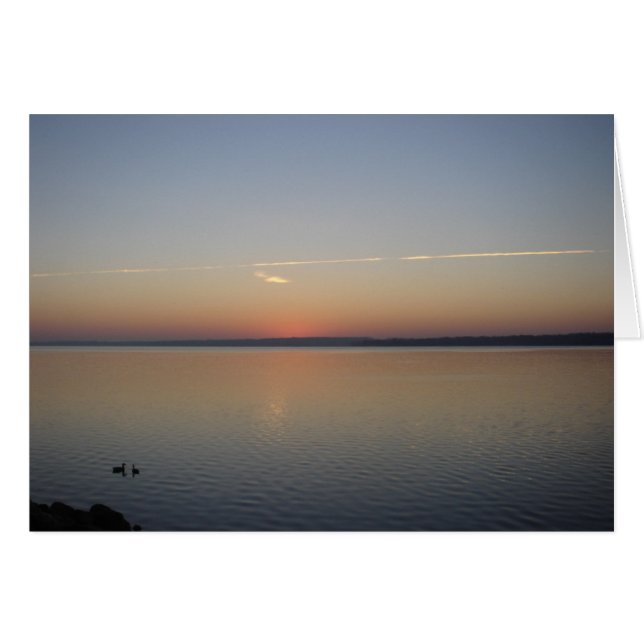 Sunshine (Front Horizontal)