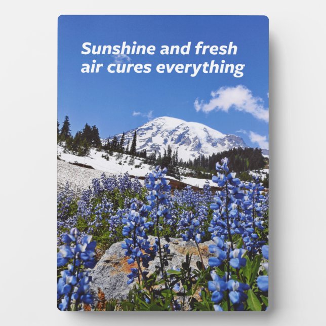Sunshine and Fresh Air Plaque (Front)