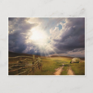 Sunshine and Meadow and Old Wood Fence Postcard