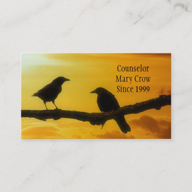 Sunshine  Birds Business Card (Front)