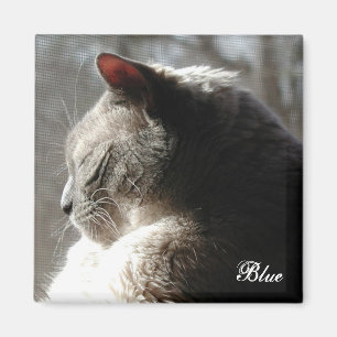 Sunshine blue magnet