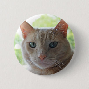 Sunshine Kitty 6 Cm Round Badge