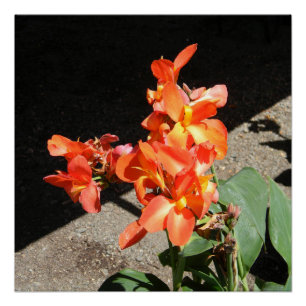 Sunshine Love... Poster