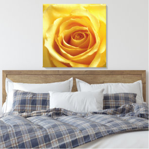 Sunshine Rose Stretched Canvas Print