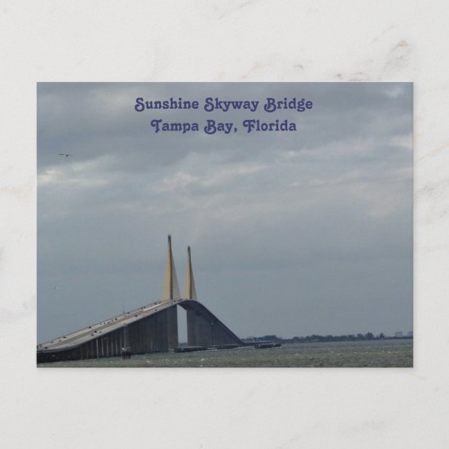 Sunshine Skyway Bridge Tampa Bay, FL. Post Card (Front)