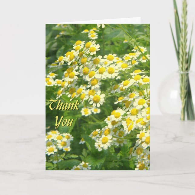 Sunshine Thank You Card (Front)