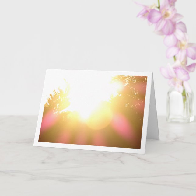 Sunshine through Tree Tops Background Card (Orchid)