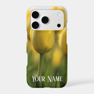 Sunshine tulips