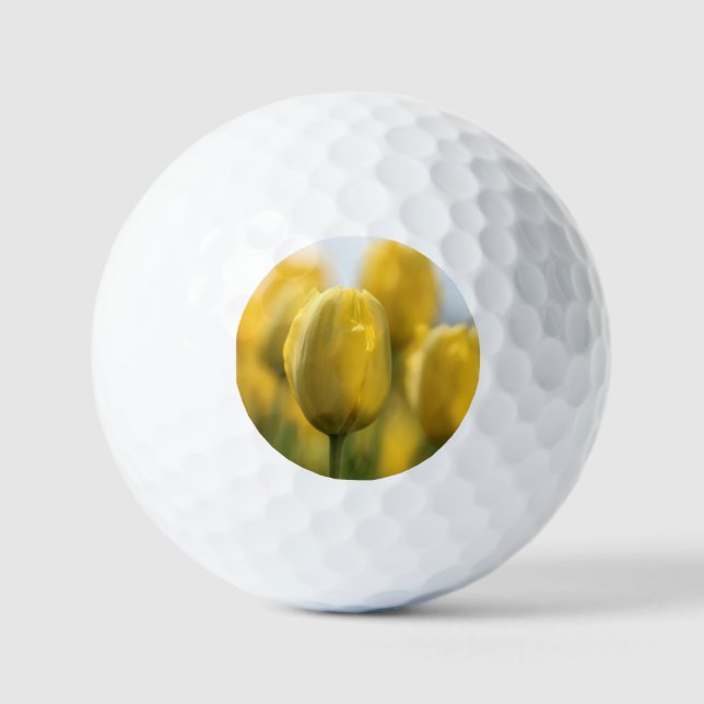 Sunshine tulips golf balls (Front)