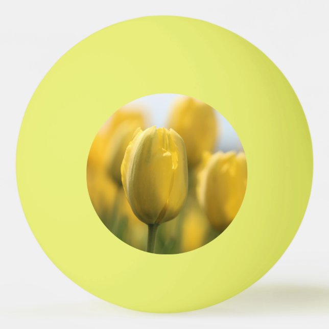 Sunshine tulips ping pong ball (Front)