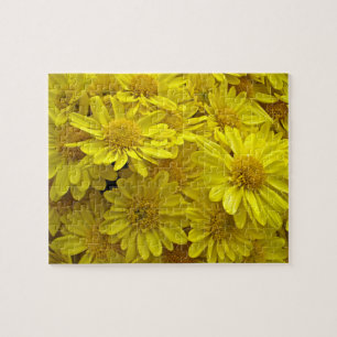 Sunshine Yellow Chrysanthemums Jigsaw Puzzle