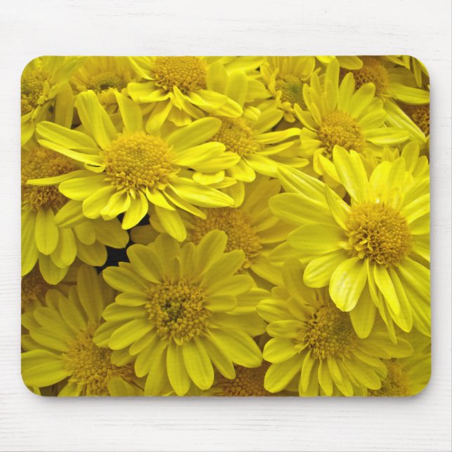 Sunshine Yellow Chrysanthemums Mouse Pad (Front)