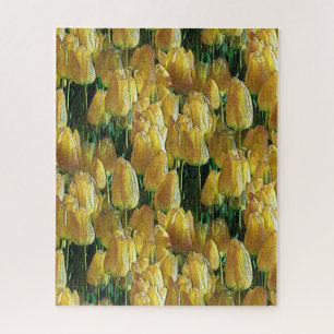 Sunshine Yellow Tulips Jigsaw Puzzle