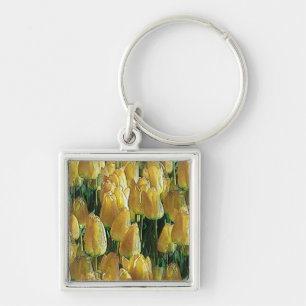 Sunshine Yellow Tulips Key Ring
