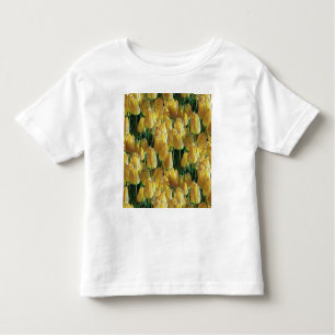 Sunshine Yellow Tulips Toddler T-Shirt
