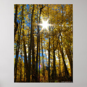 Sunstar Poster